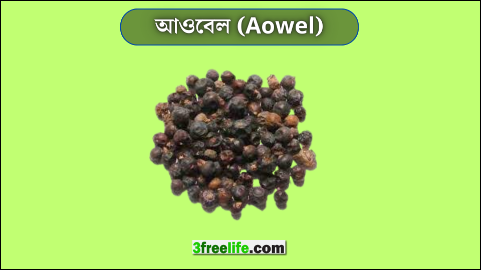আওবেল (Aowel)
