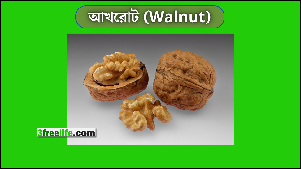 আখরোট (Walnut)